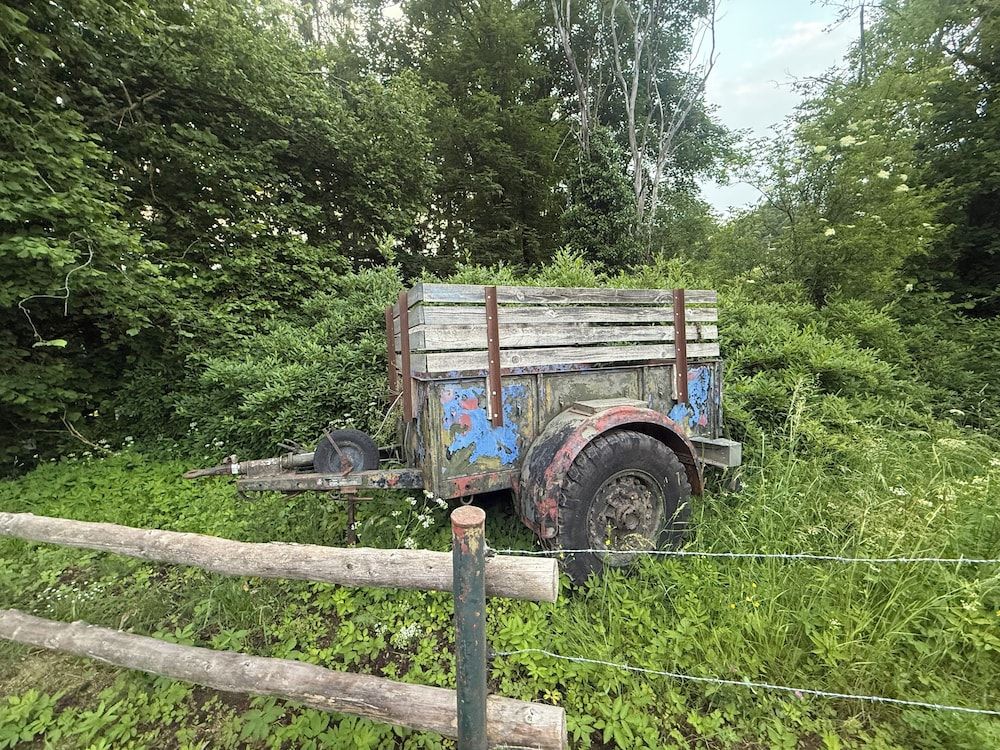 Allgemein