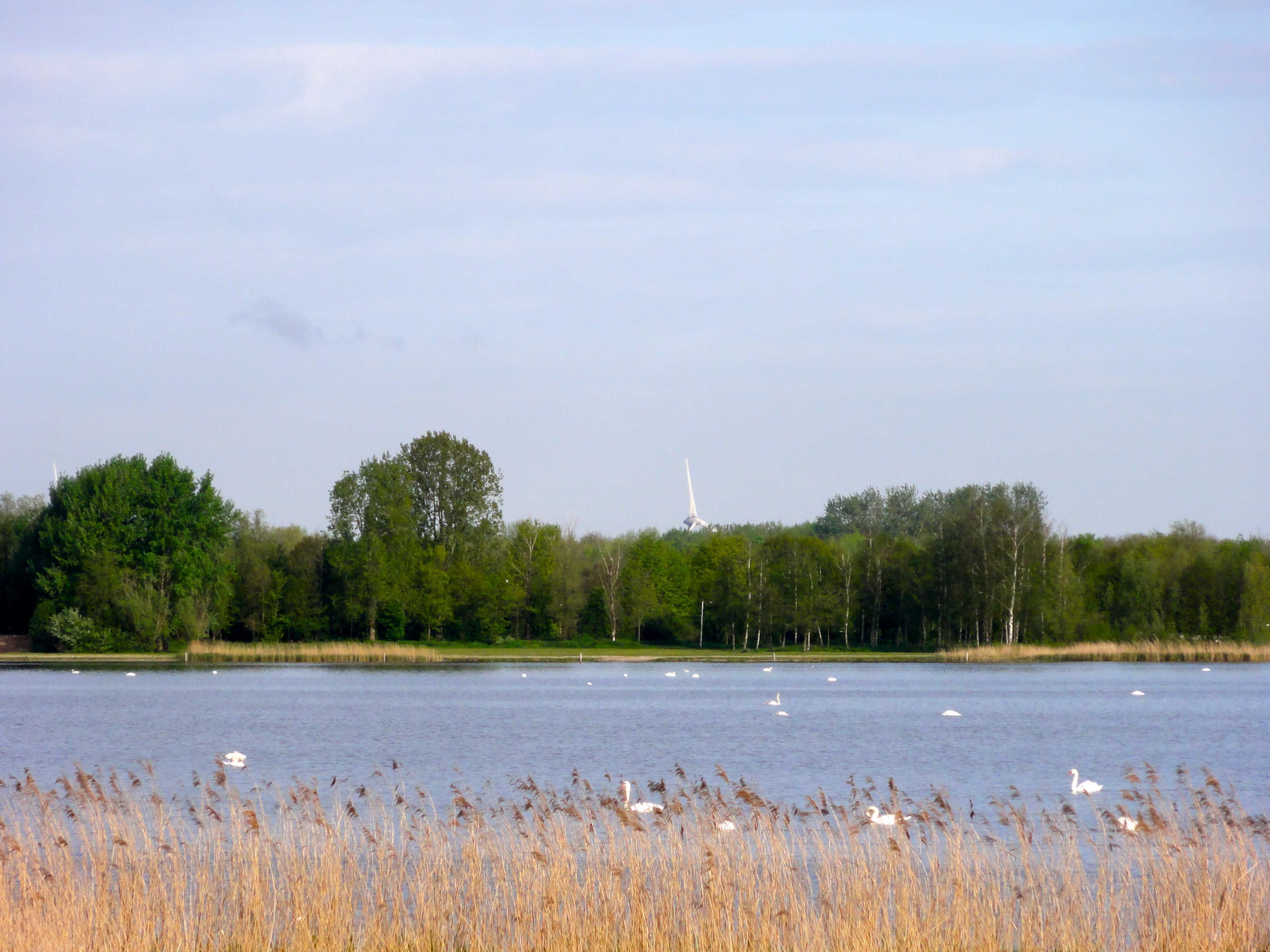 Umgebung