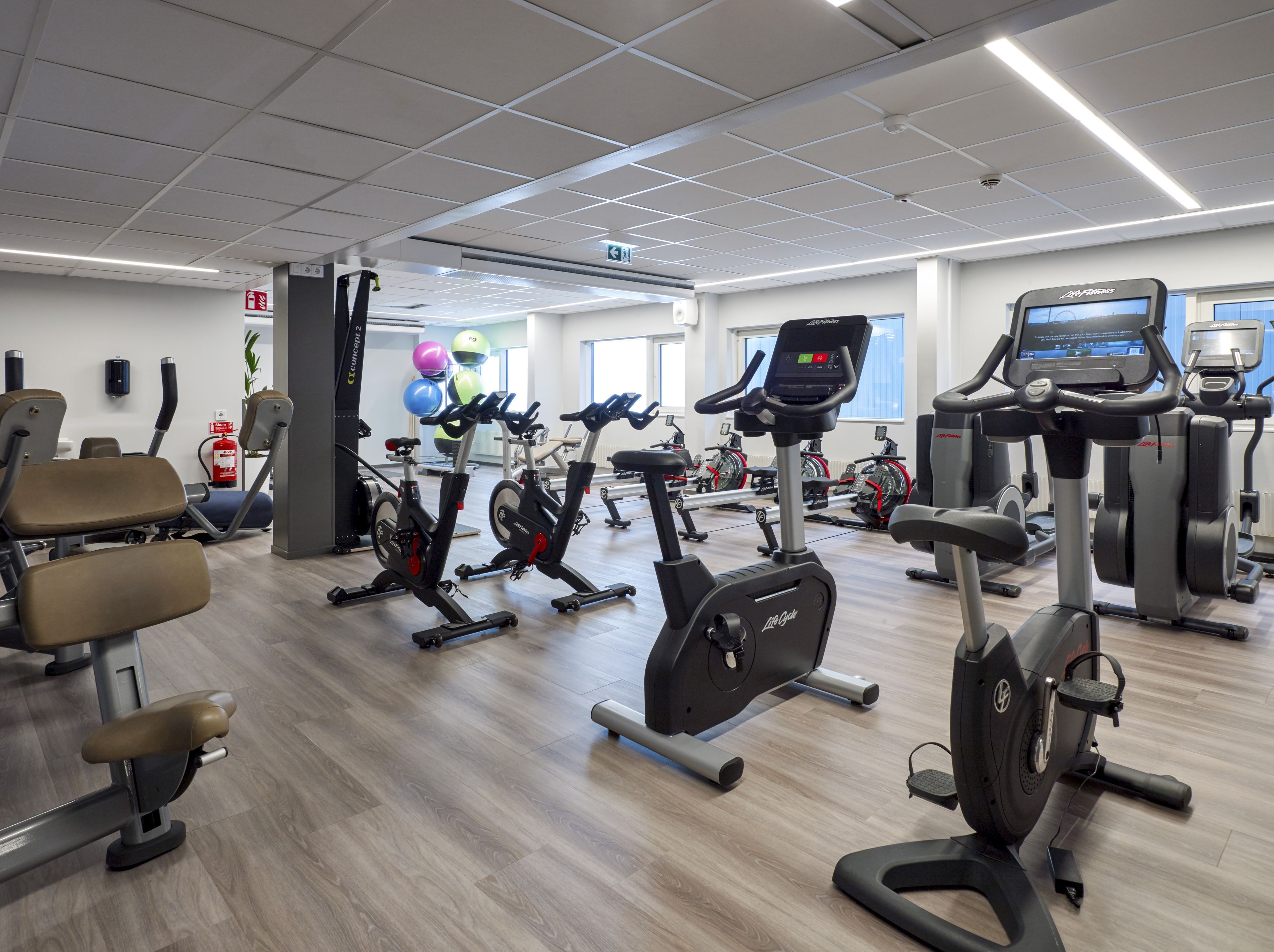 Wellness