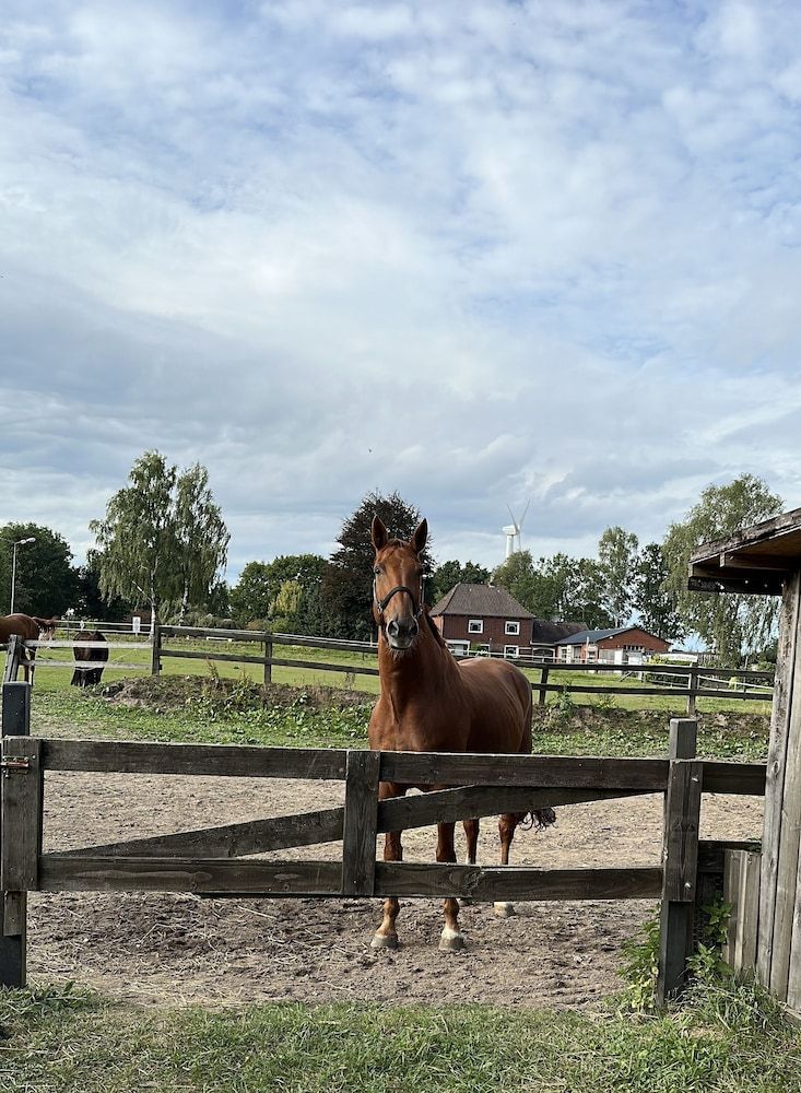 Allgemein