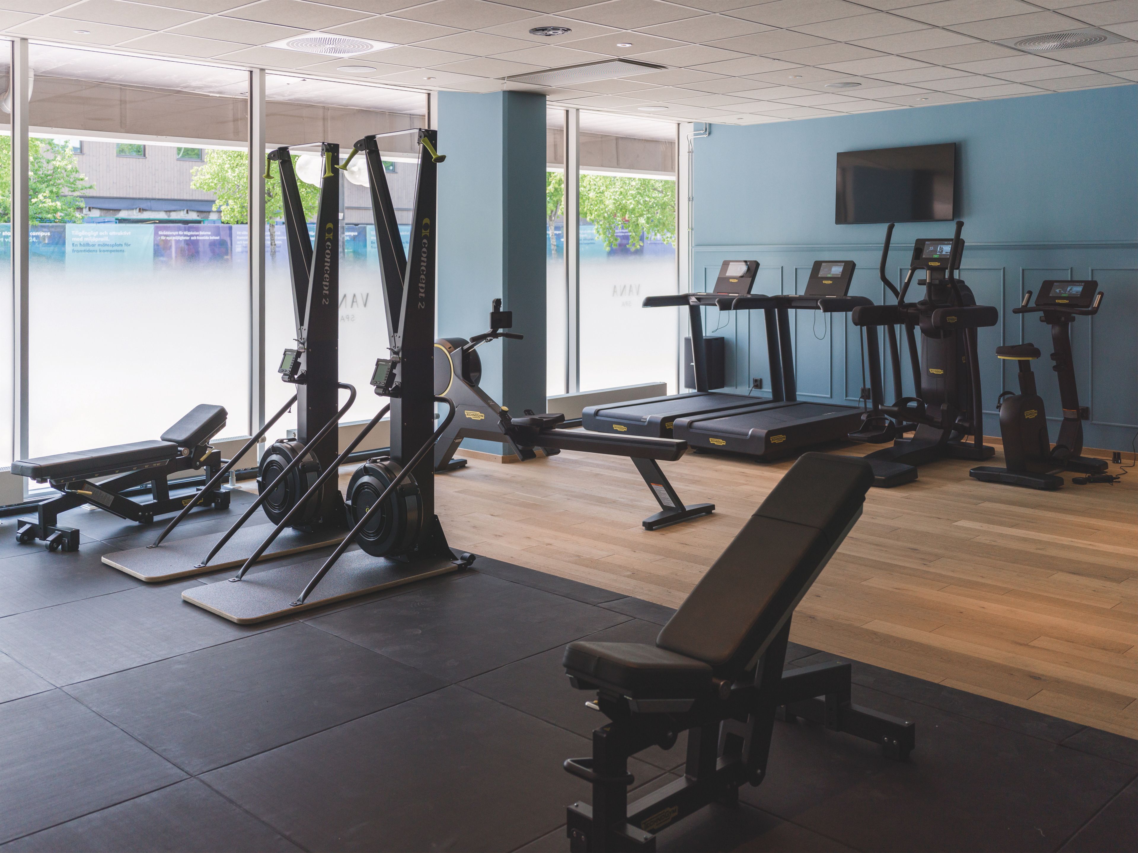 Wellness