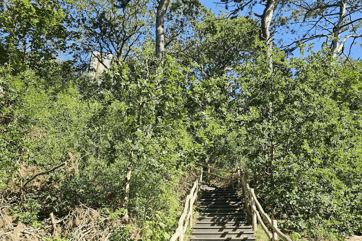 Umgebung