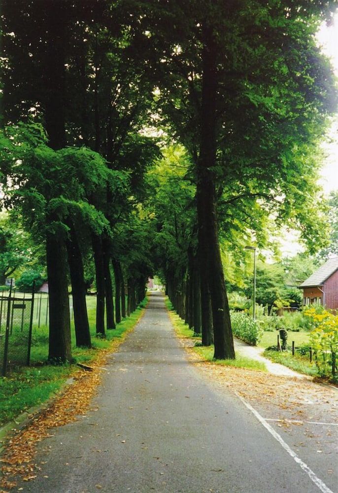Allgemein
