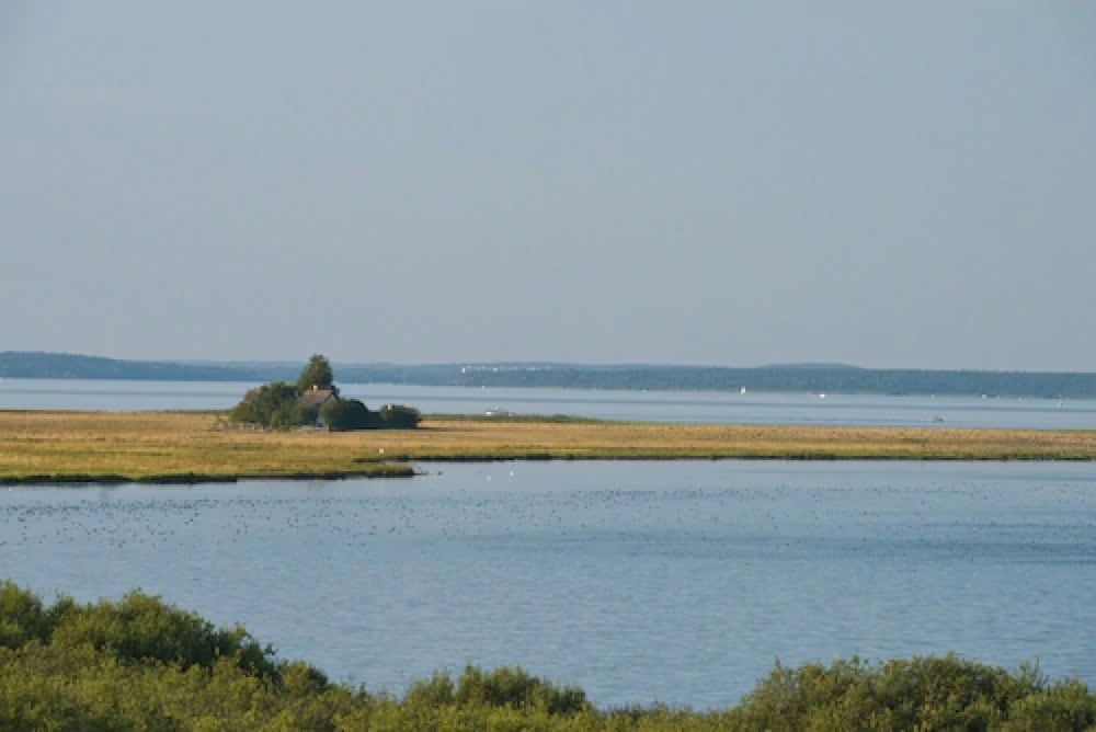 Allgemein