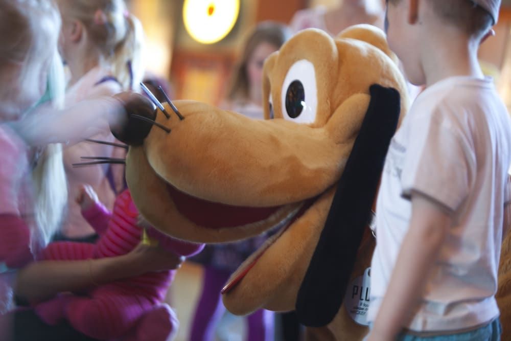 Allgemein