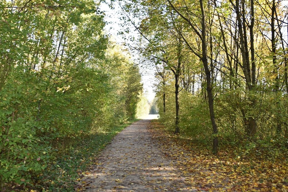 Allgemein