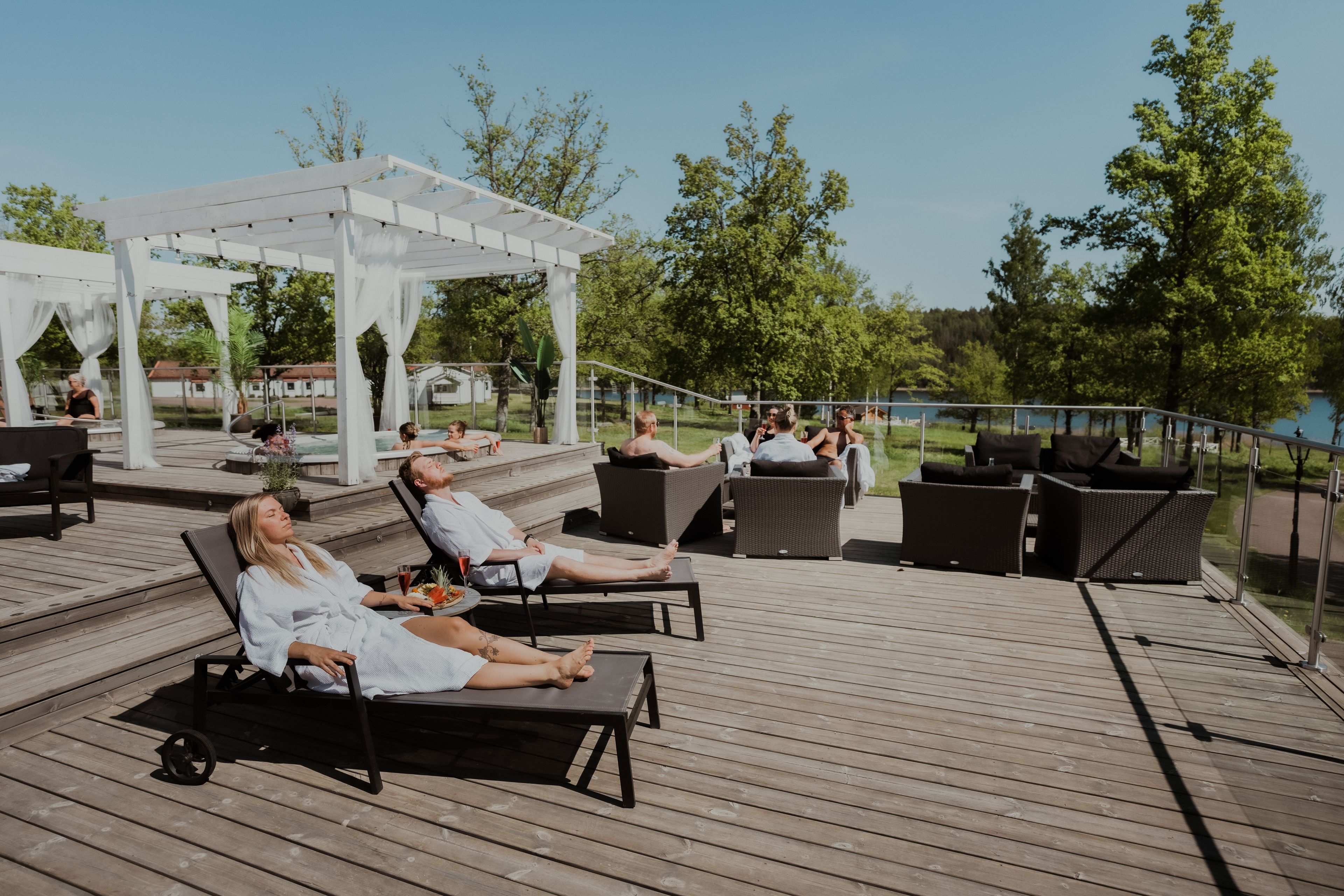 Wellness