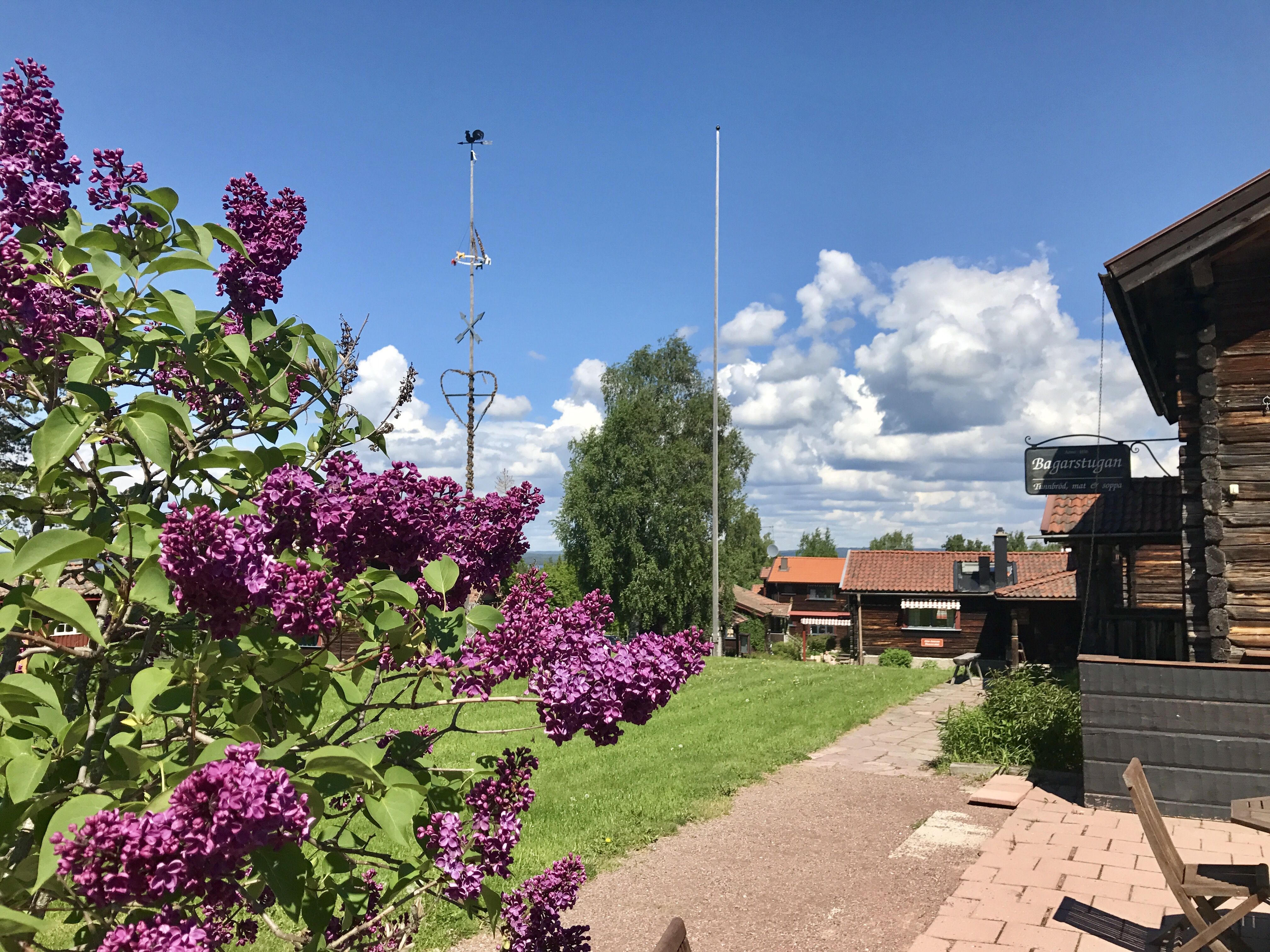 Umgebung
