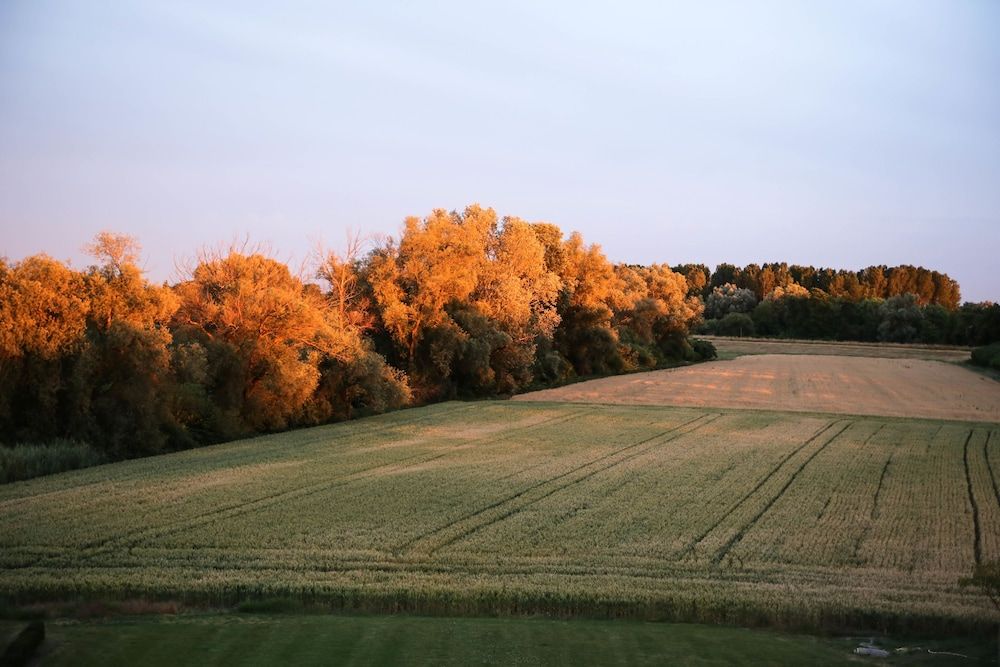 Allgemein