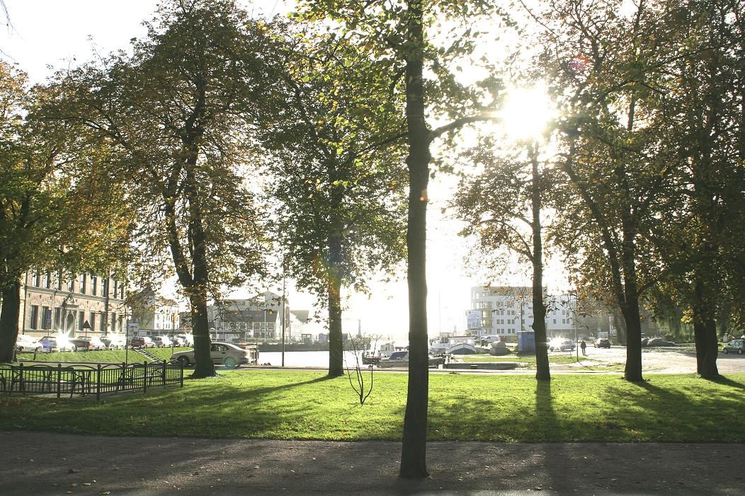 Umgebung