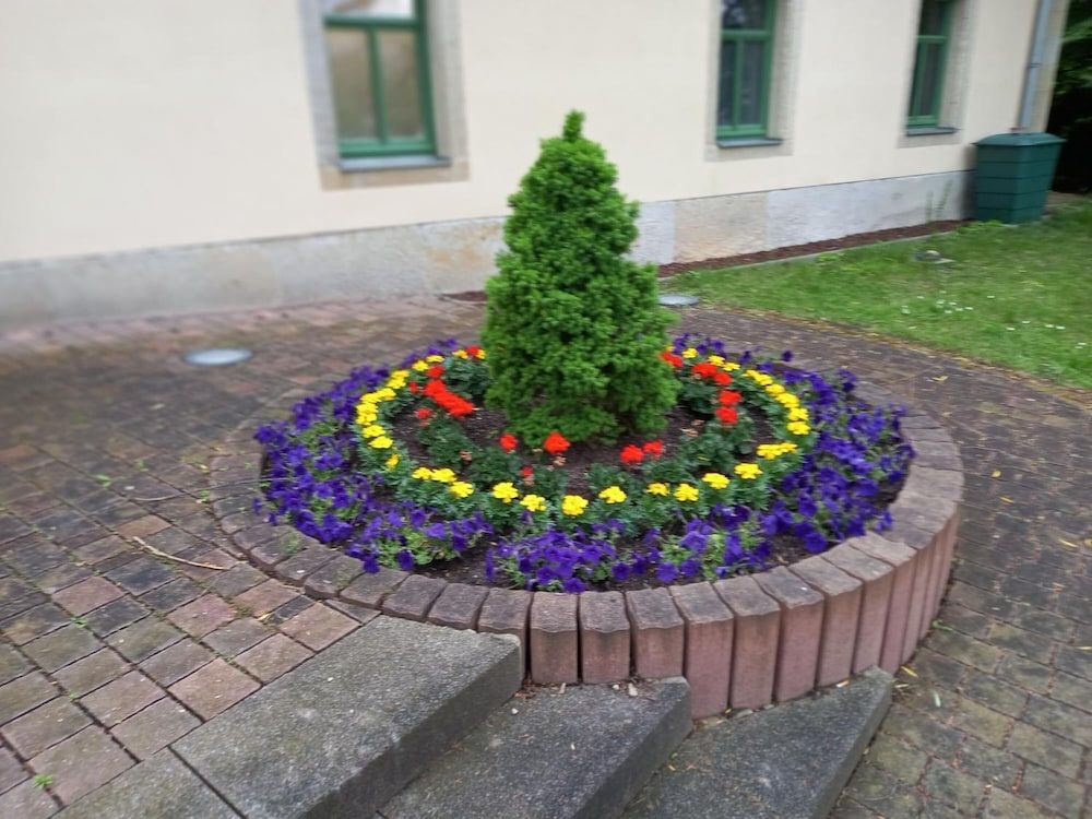 Allgemein