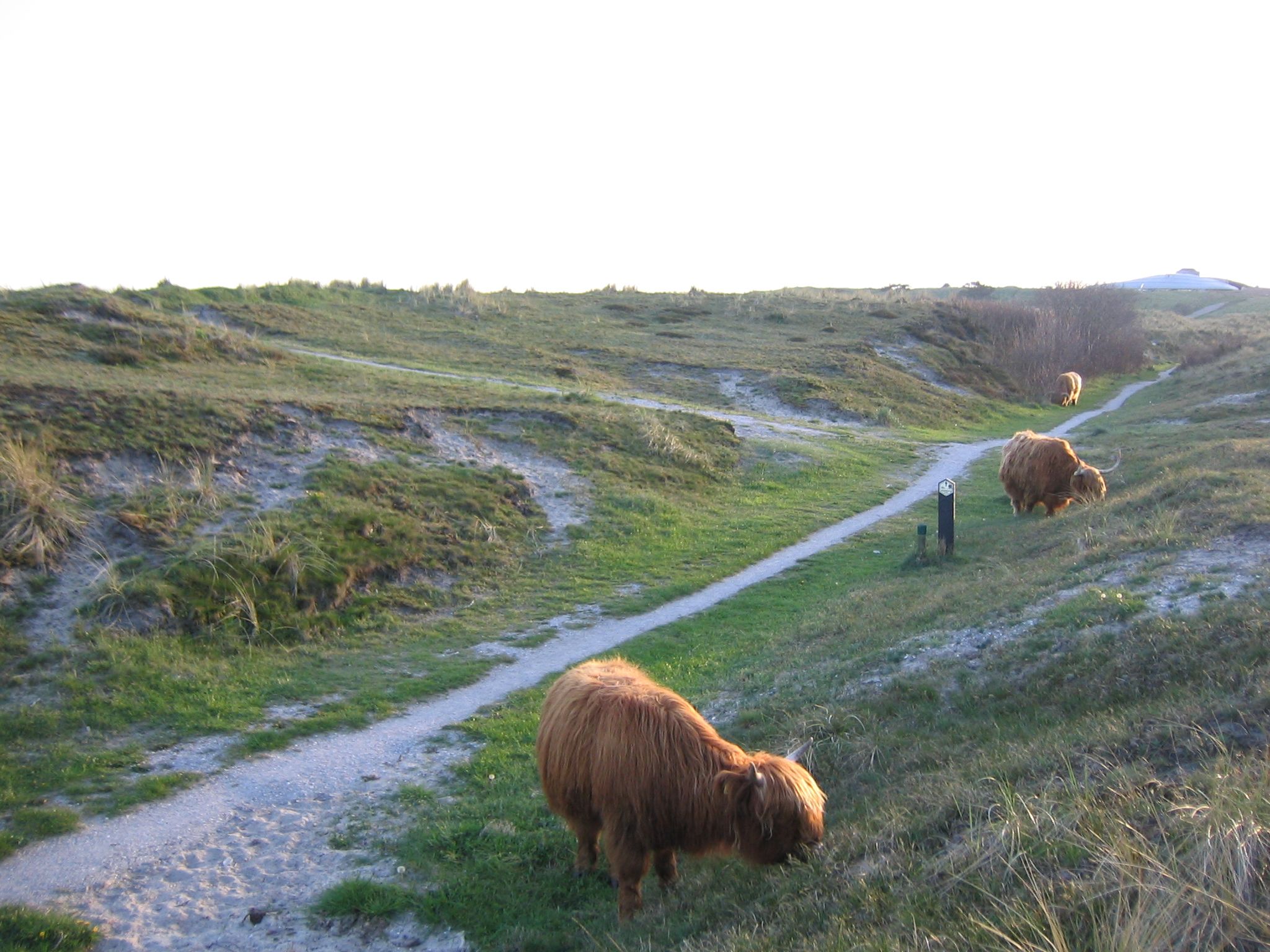 Umgebung