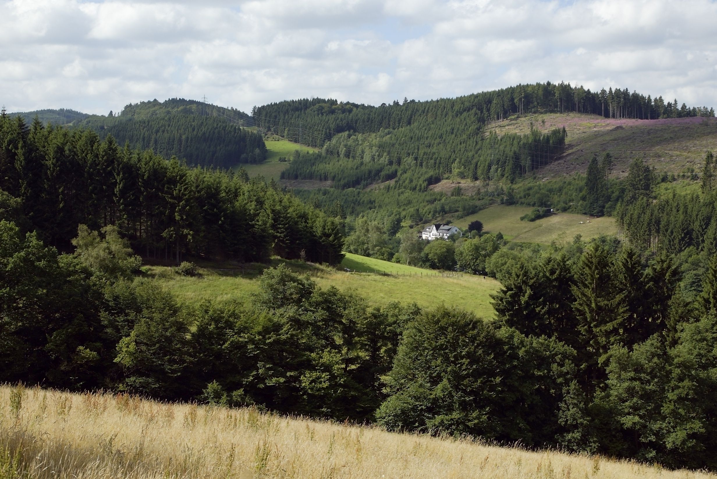 Umgebung