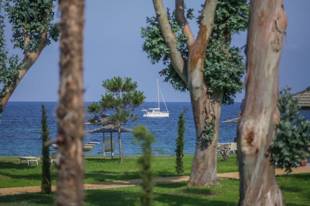 Allgemein