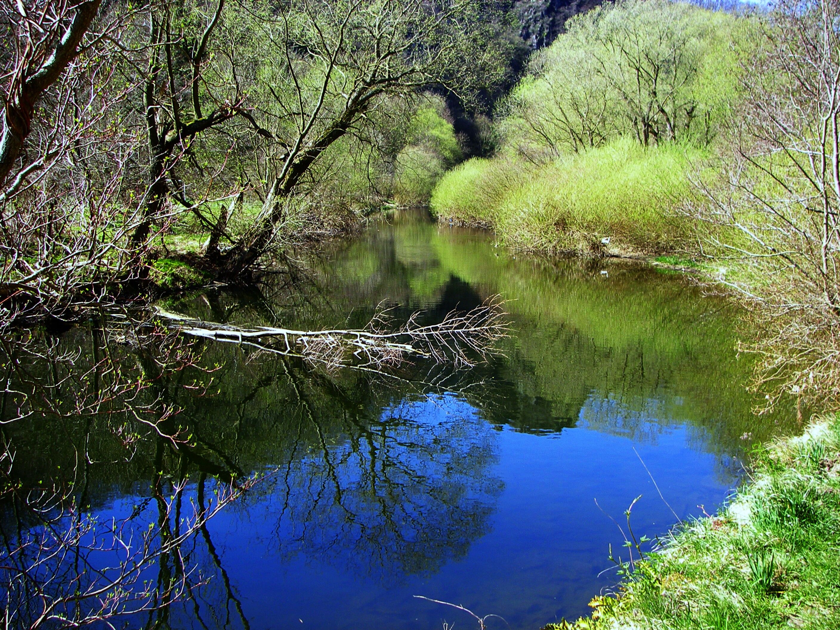 Umgebung