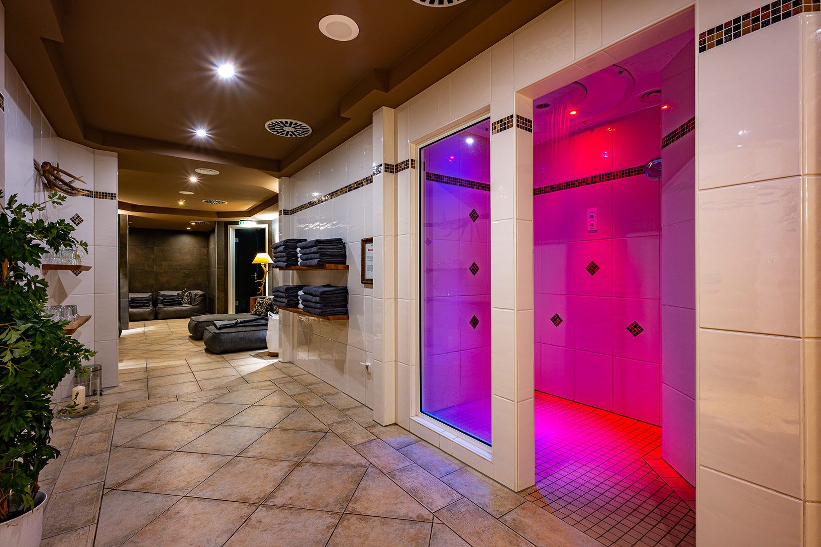 Wellness