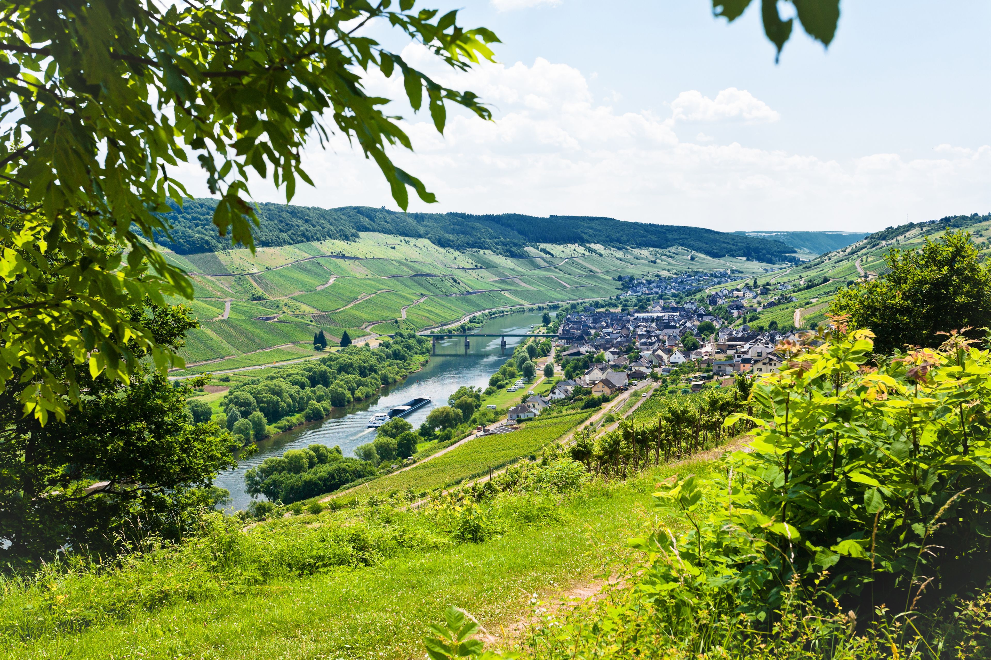 Umgebung