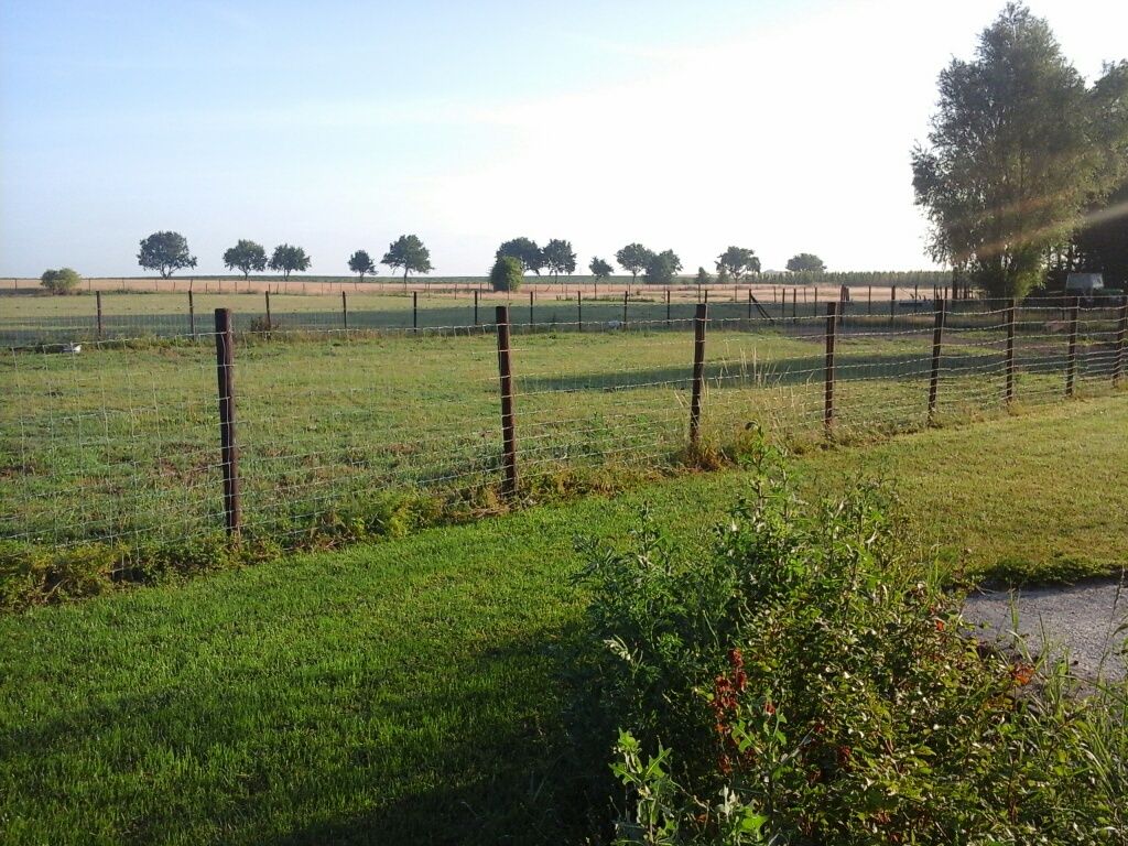 Umgebung
