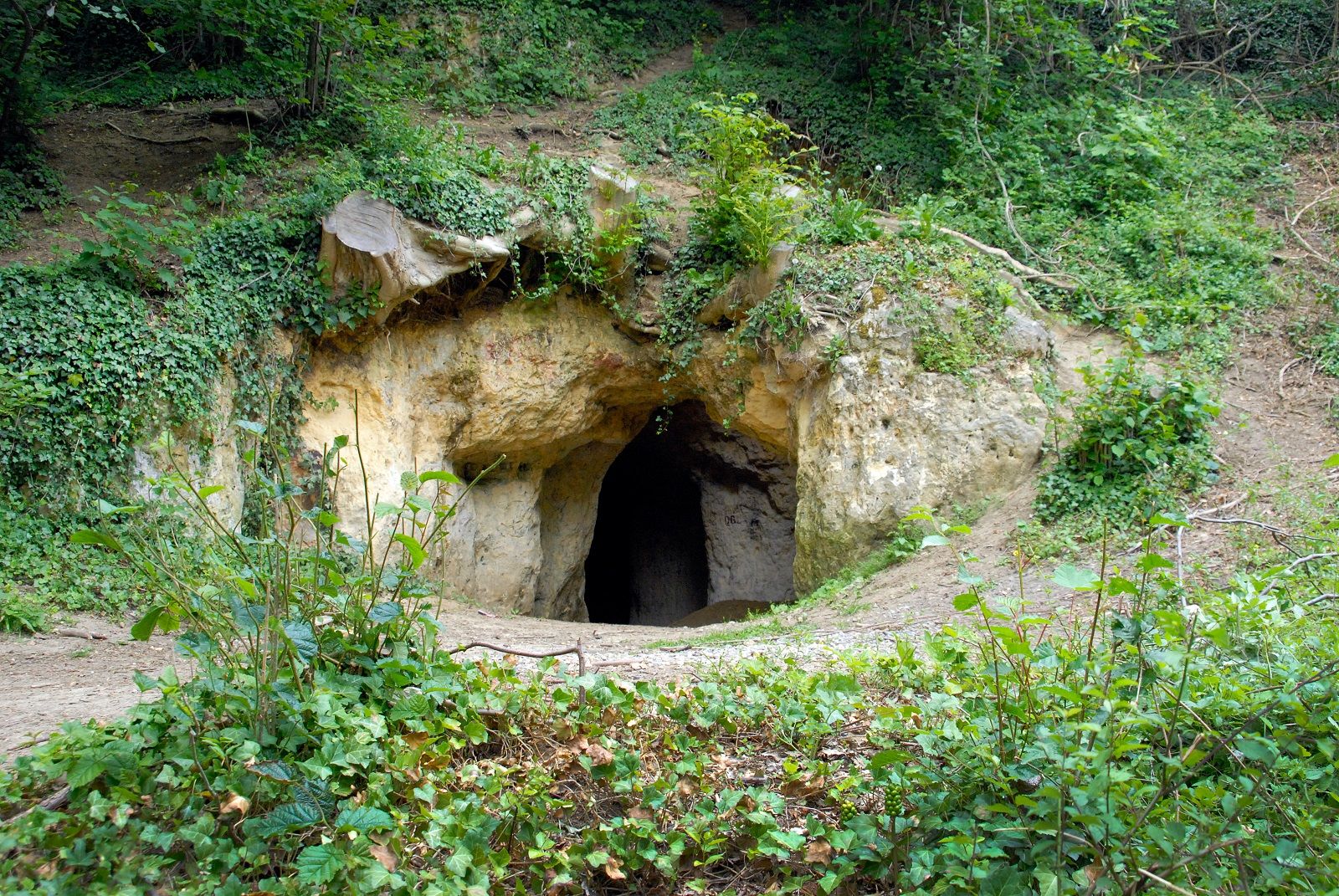 Umgebung