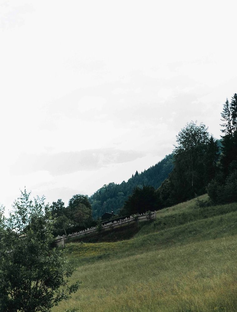 Allgemein