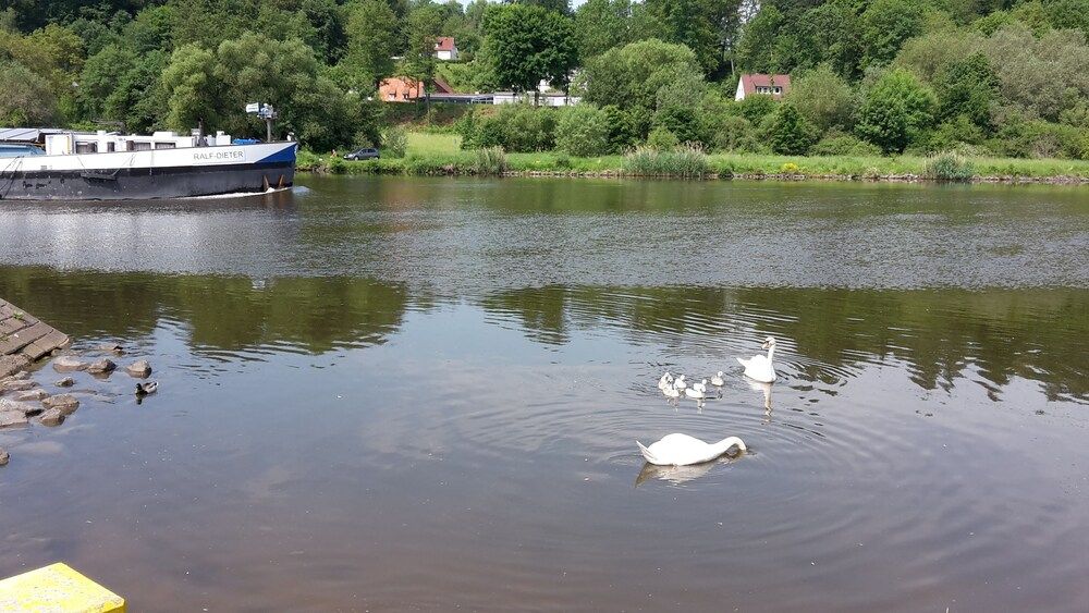 Allgemein