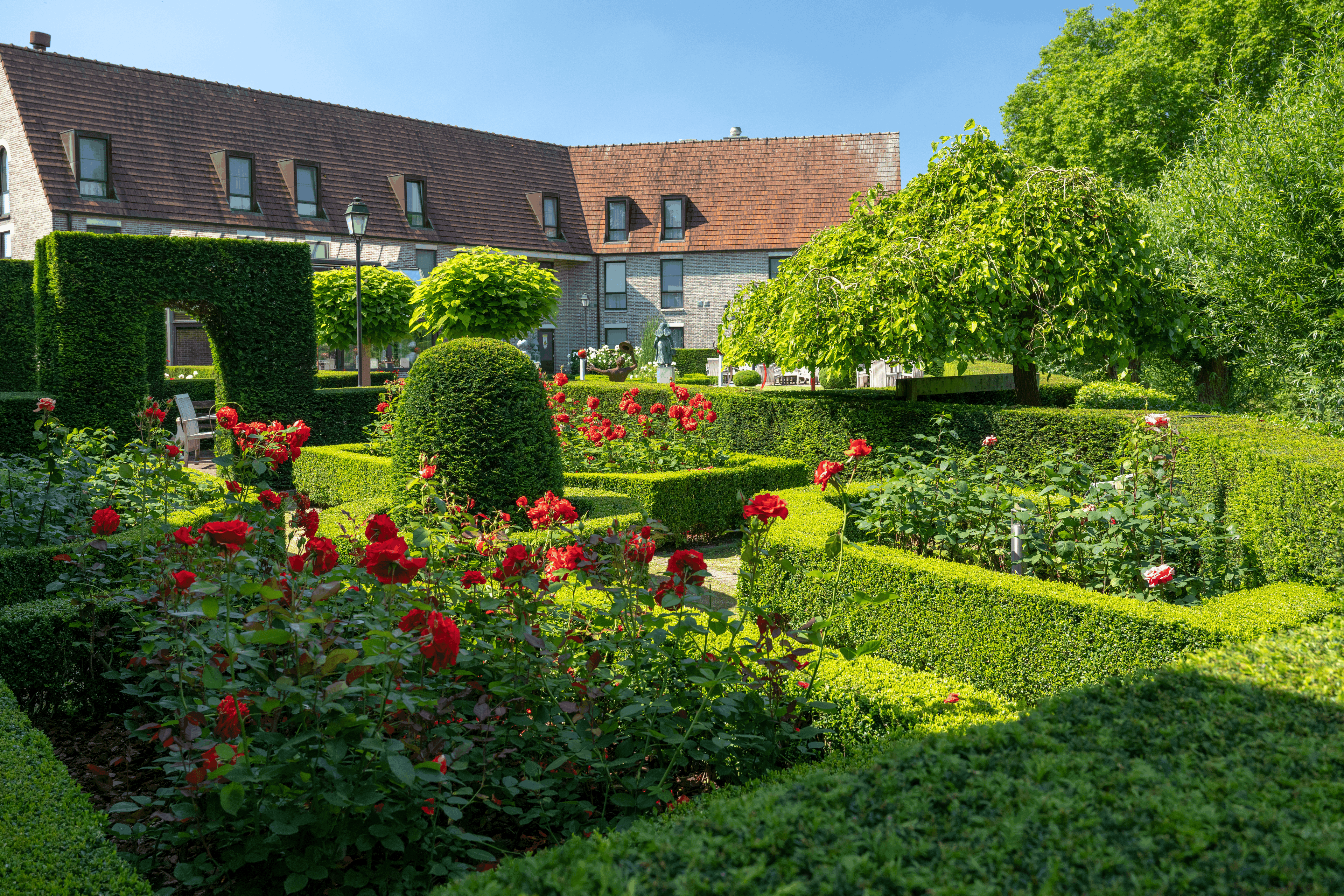 Hauptbilder