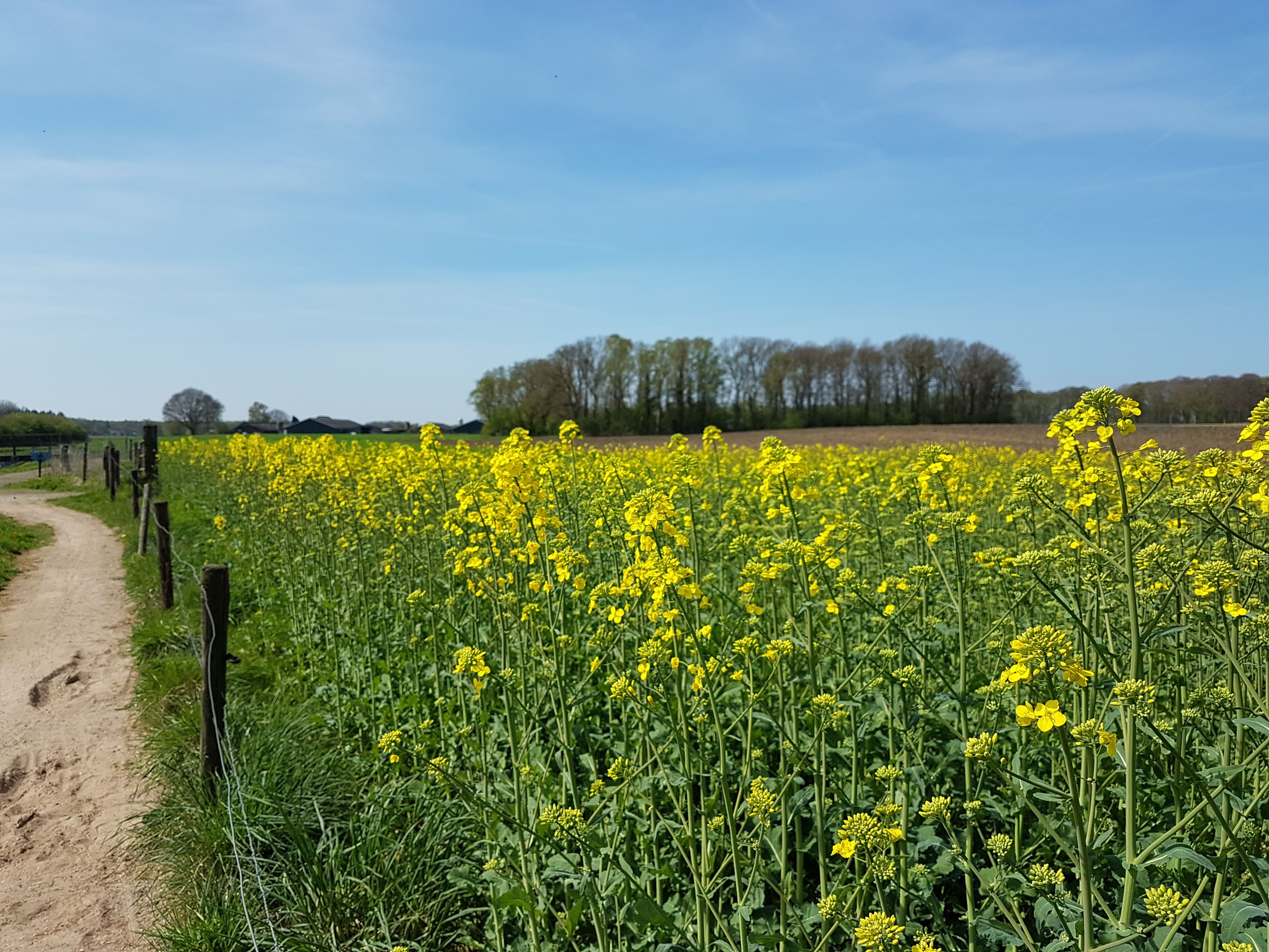 Umgebung