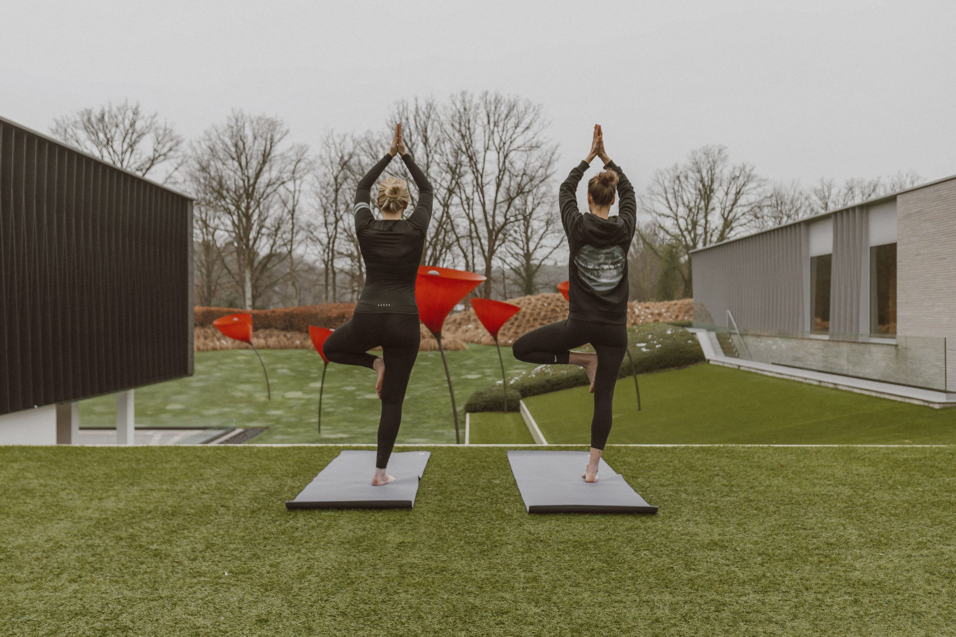 Wellness