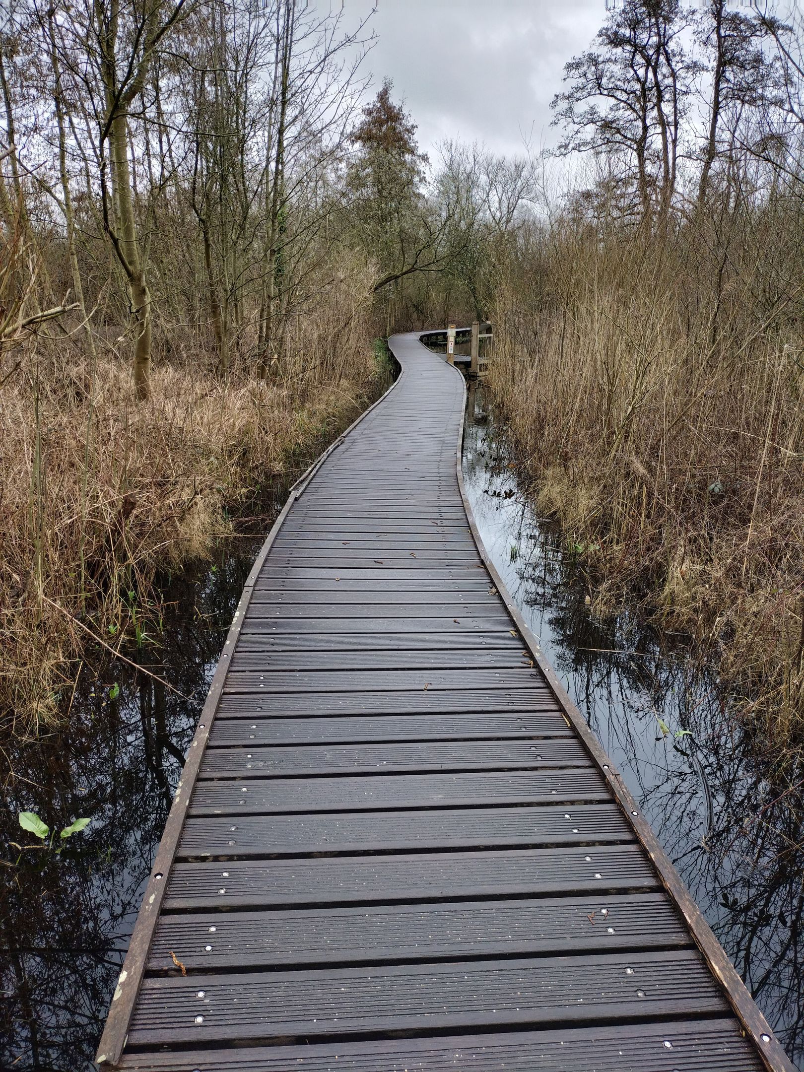 Umgebung