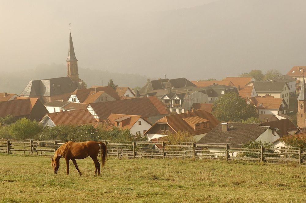 Allgemein