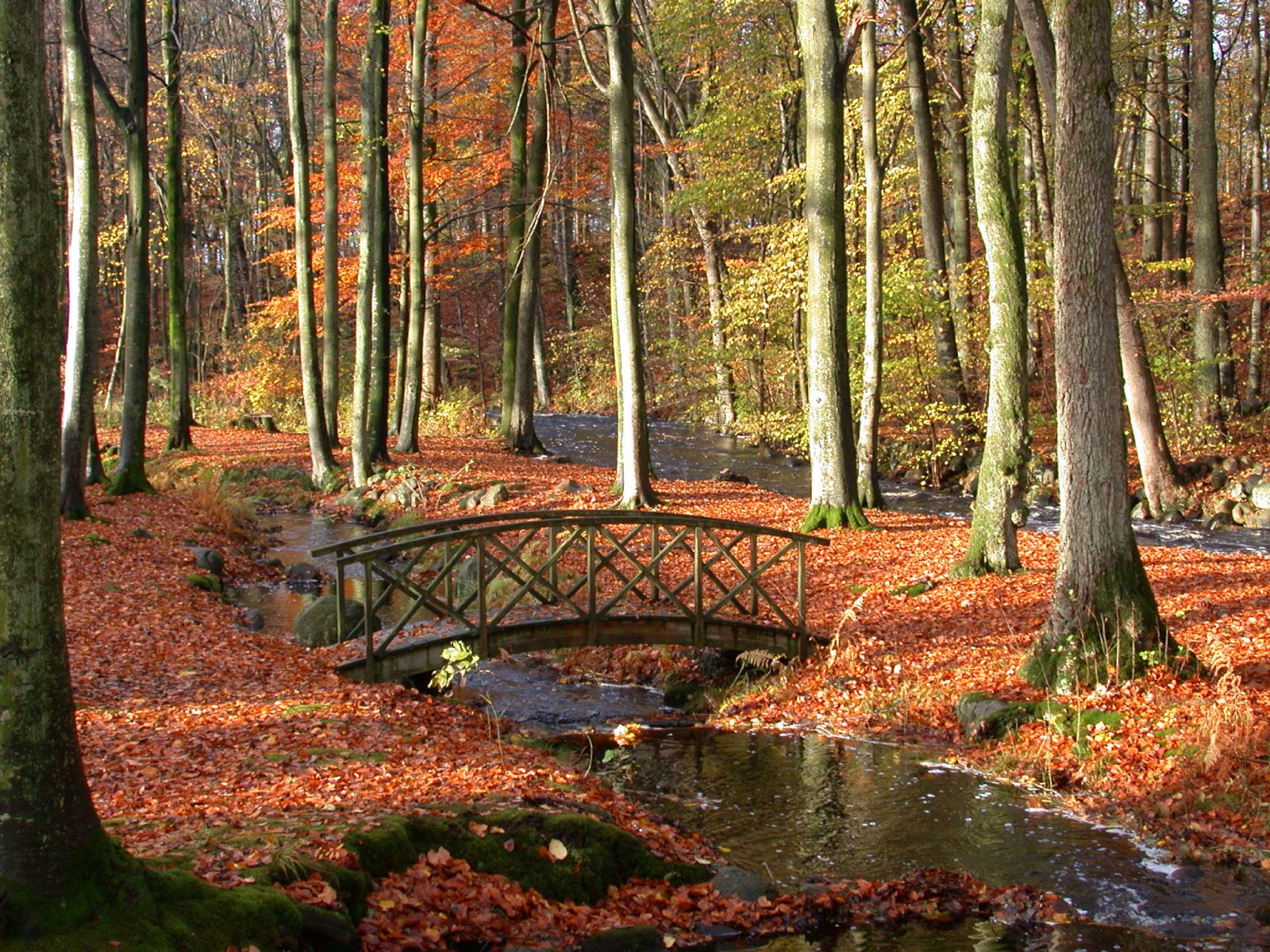 Umgebung