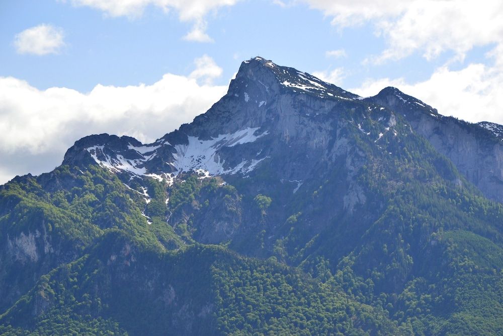 Allgemein