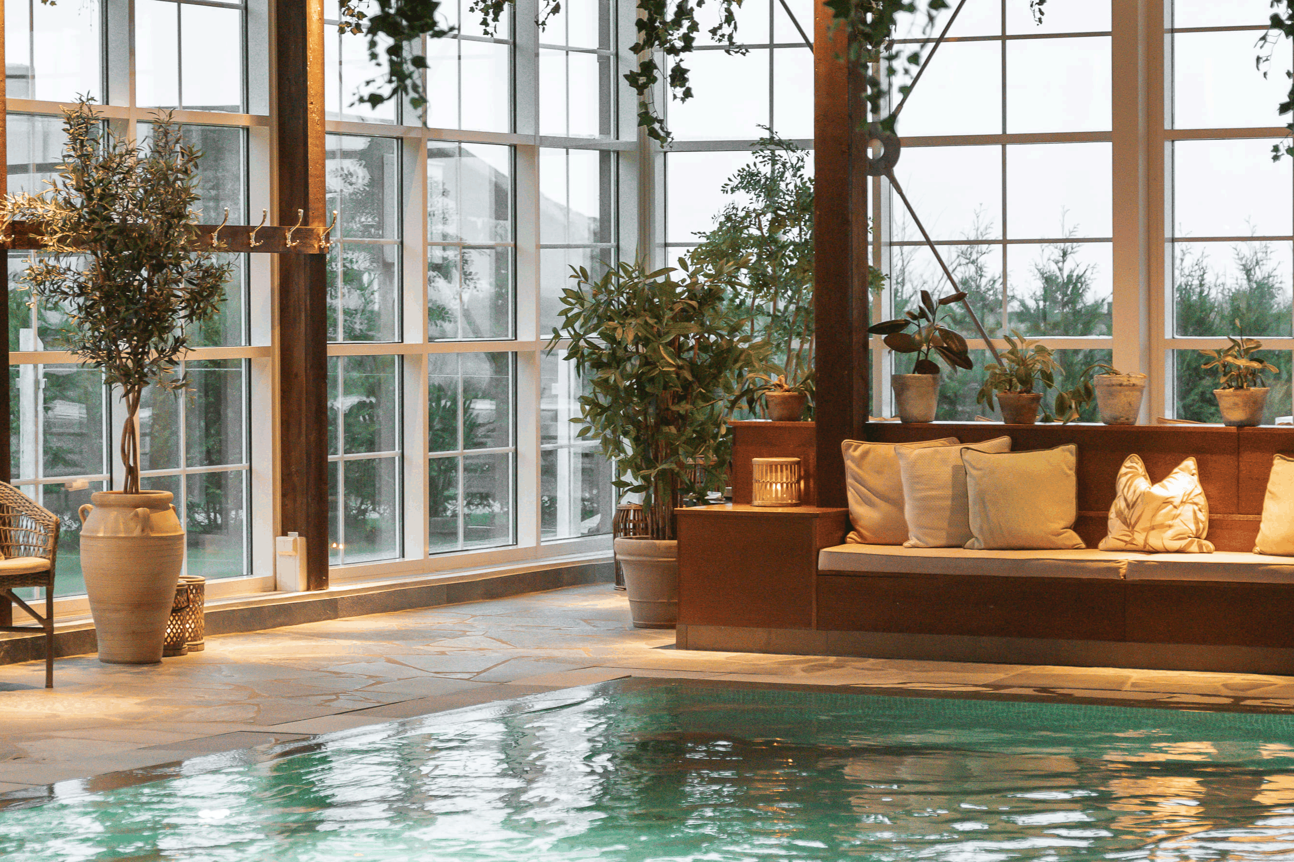 Wellness