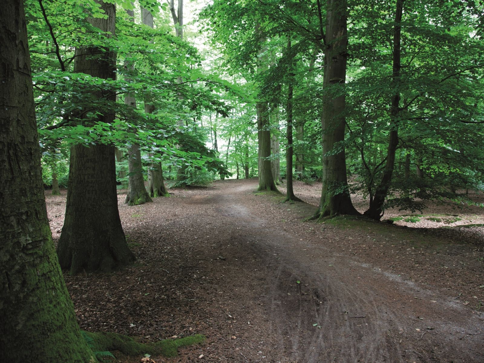 Umgebung