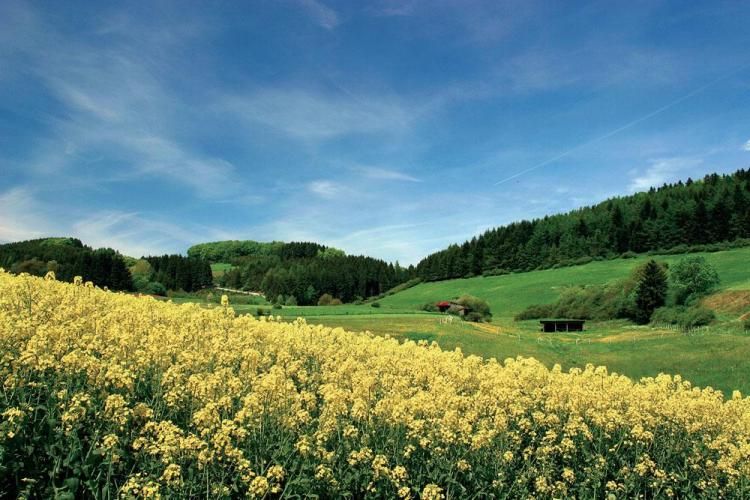 Umgebung