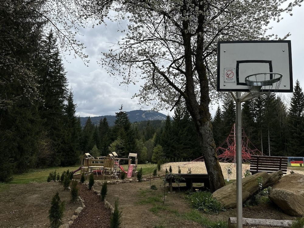 Allgemein