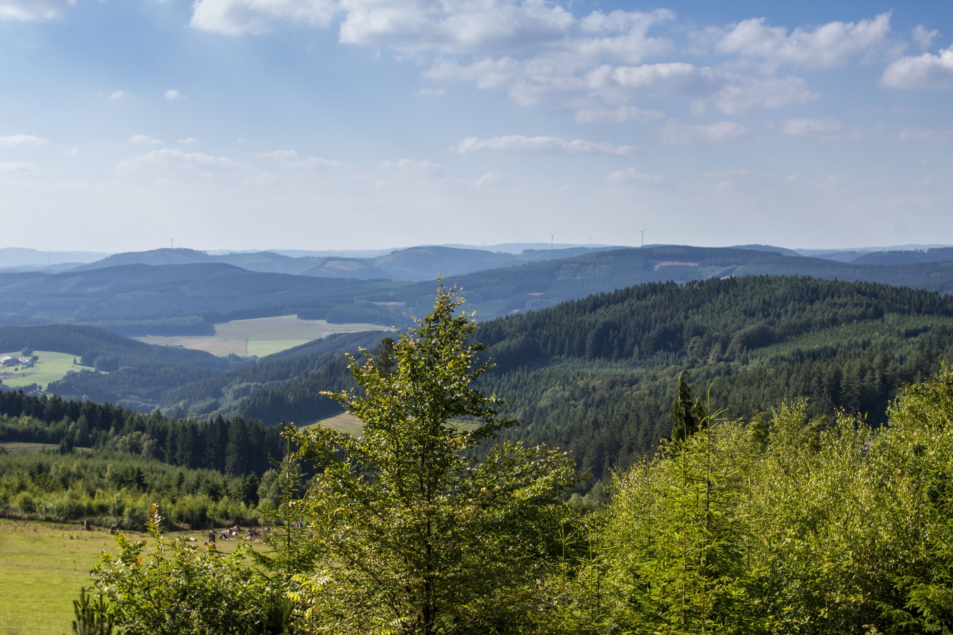 Umgebung