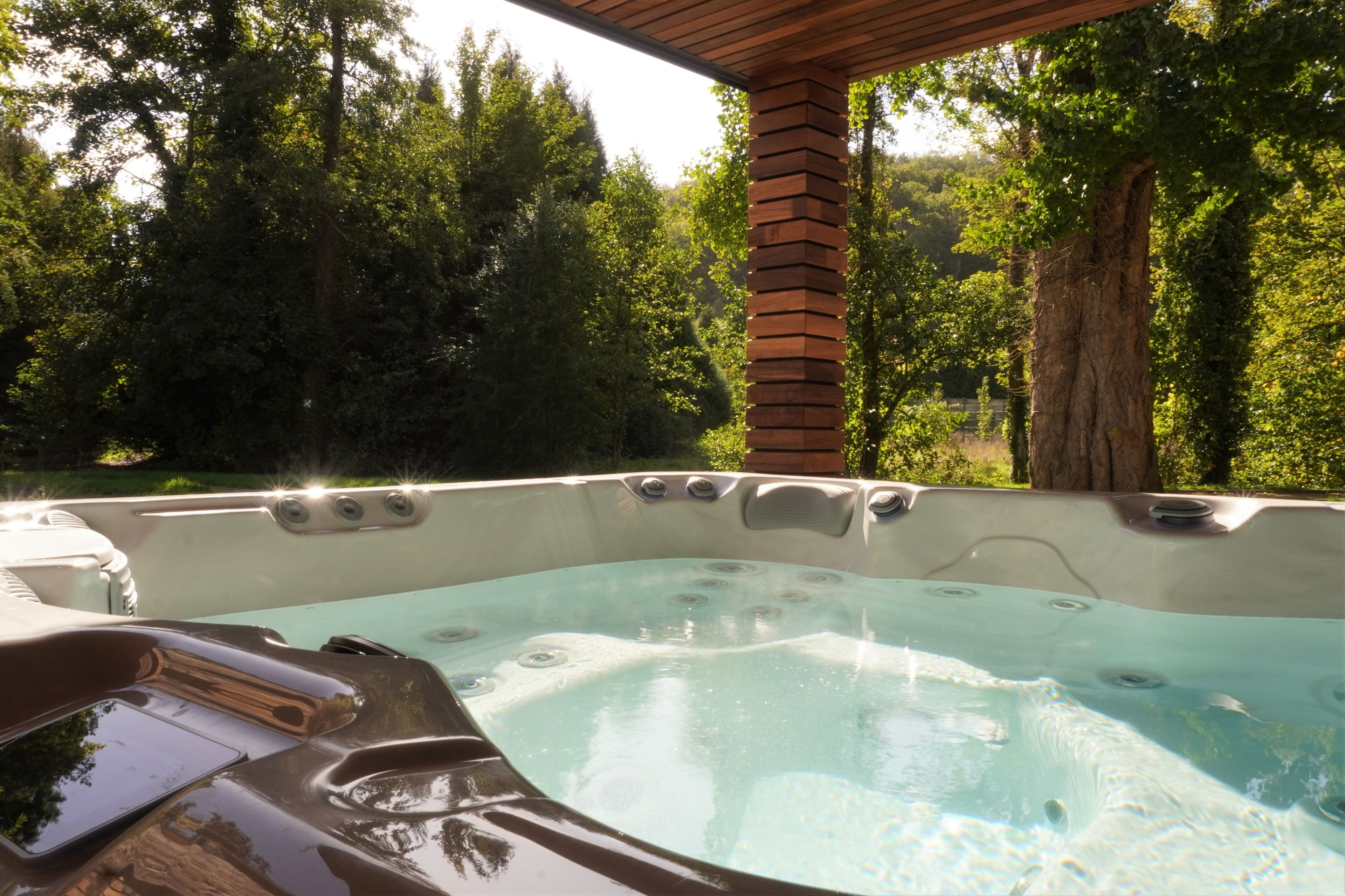 Wellness