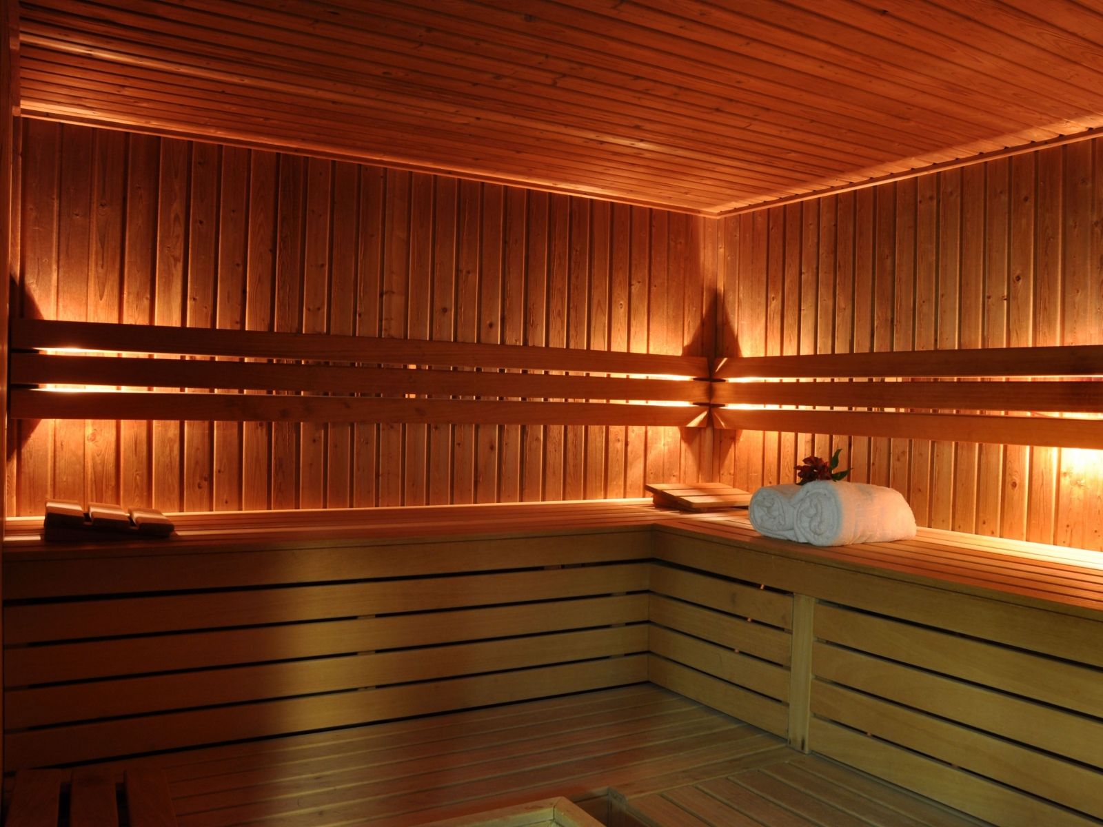 Wellness