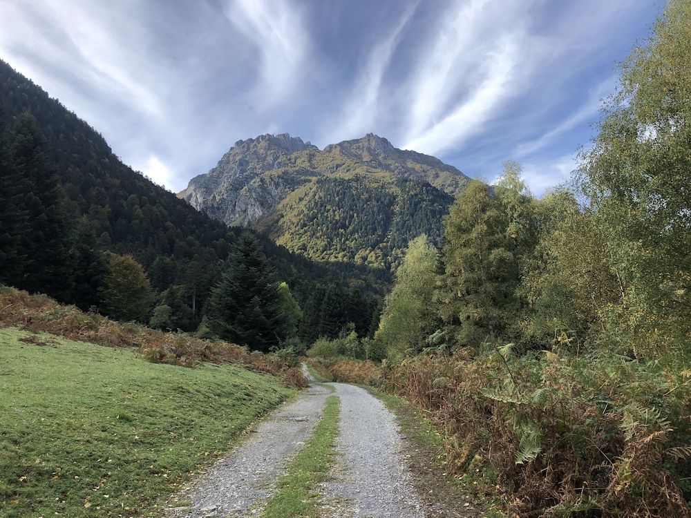Allgemein