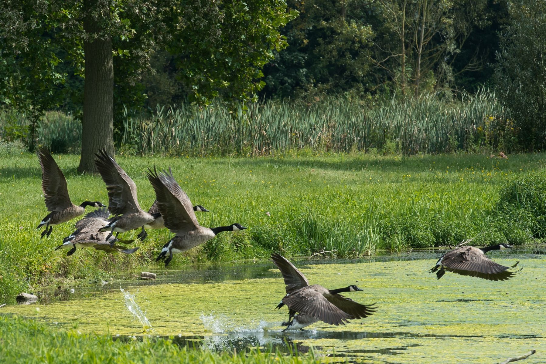 Umgebung