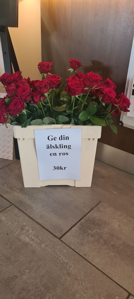 Allgemein