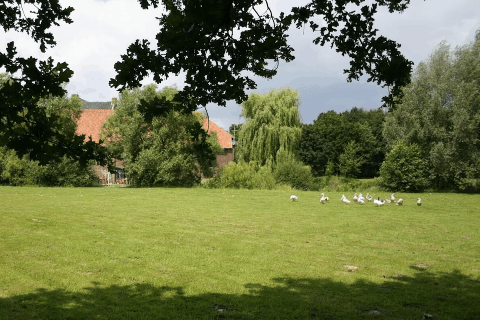 Umgebung