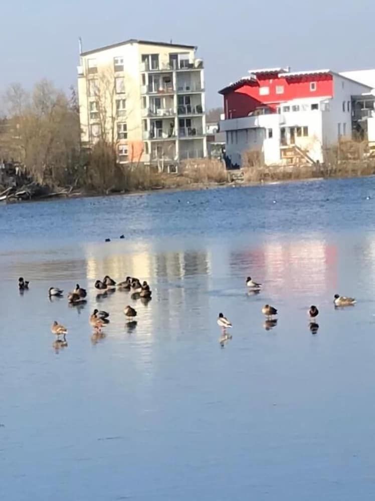 Allgemein