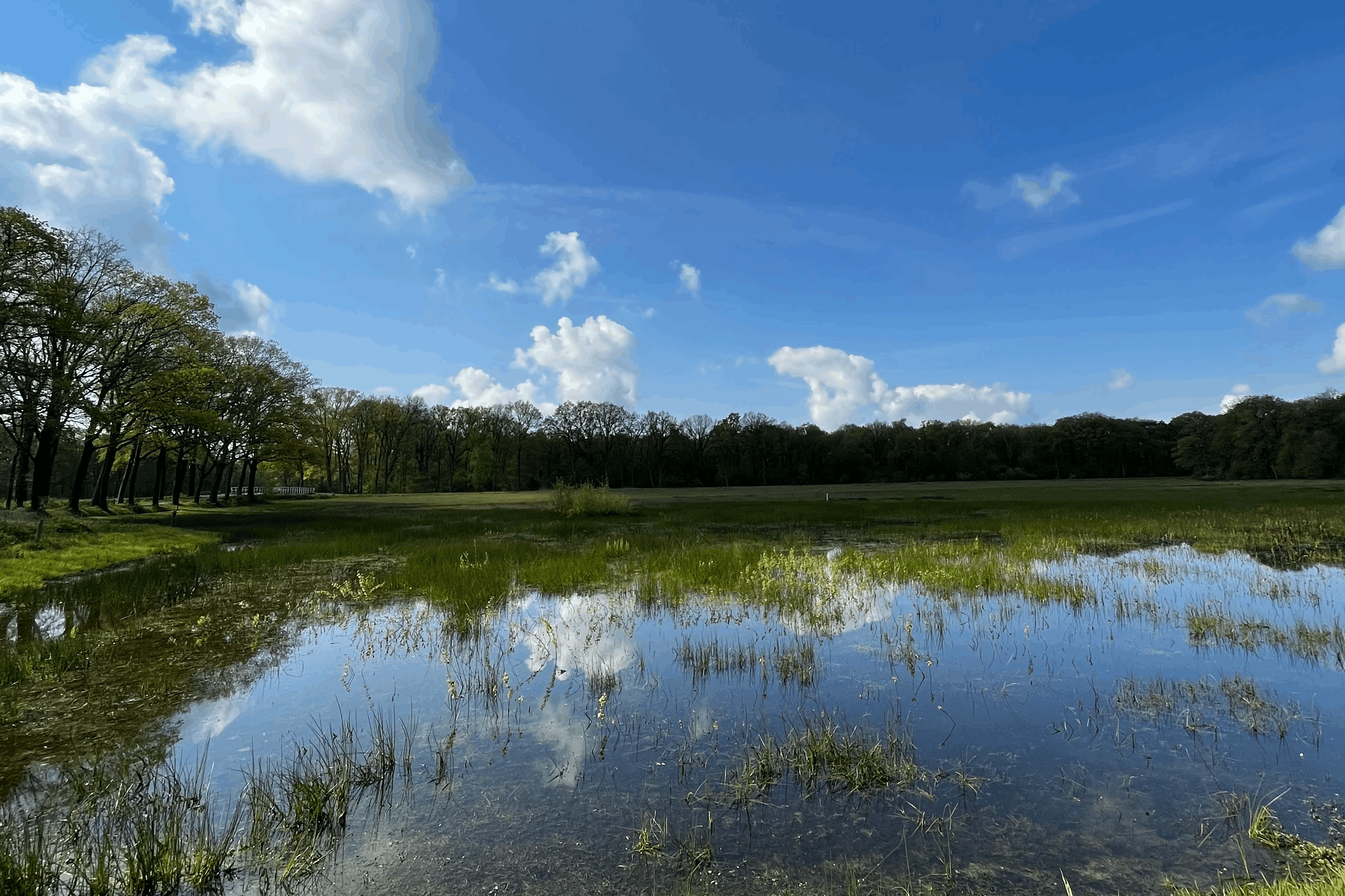 Umgebung