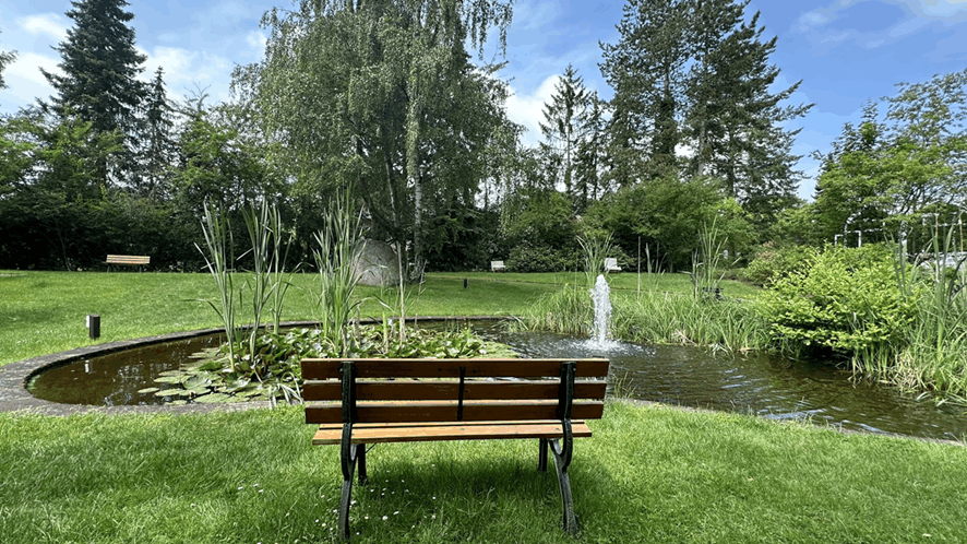 Umgebung