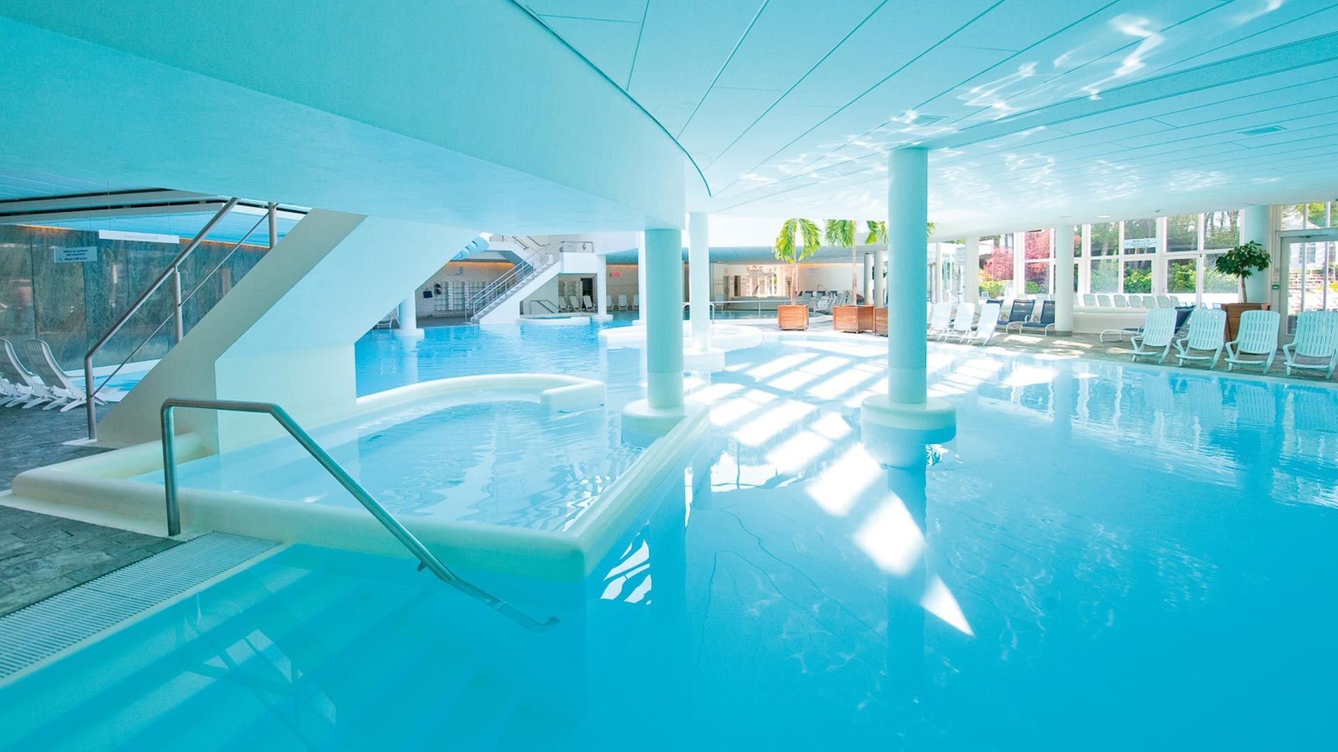 Wellness