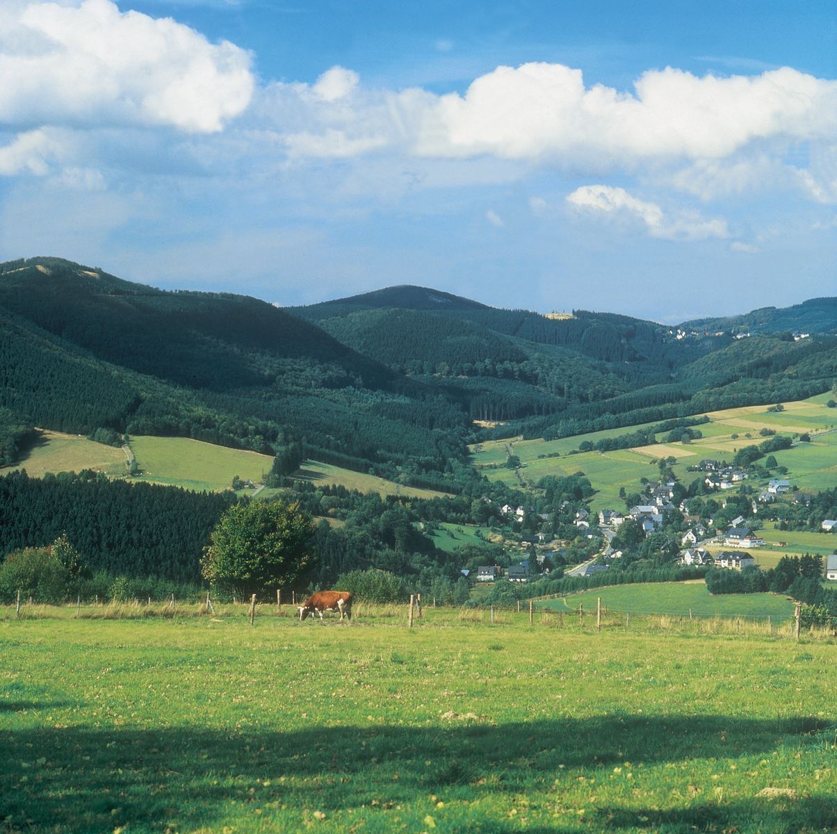 Umgebung