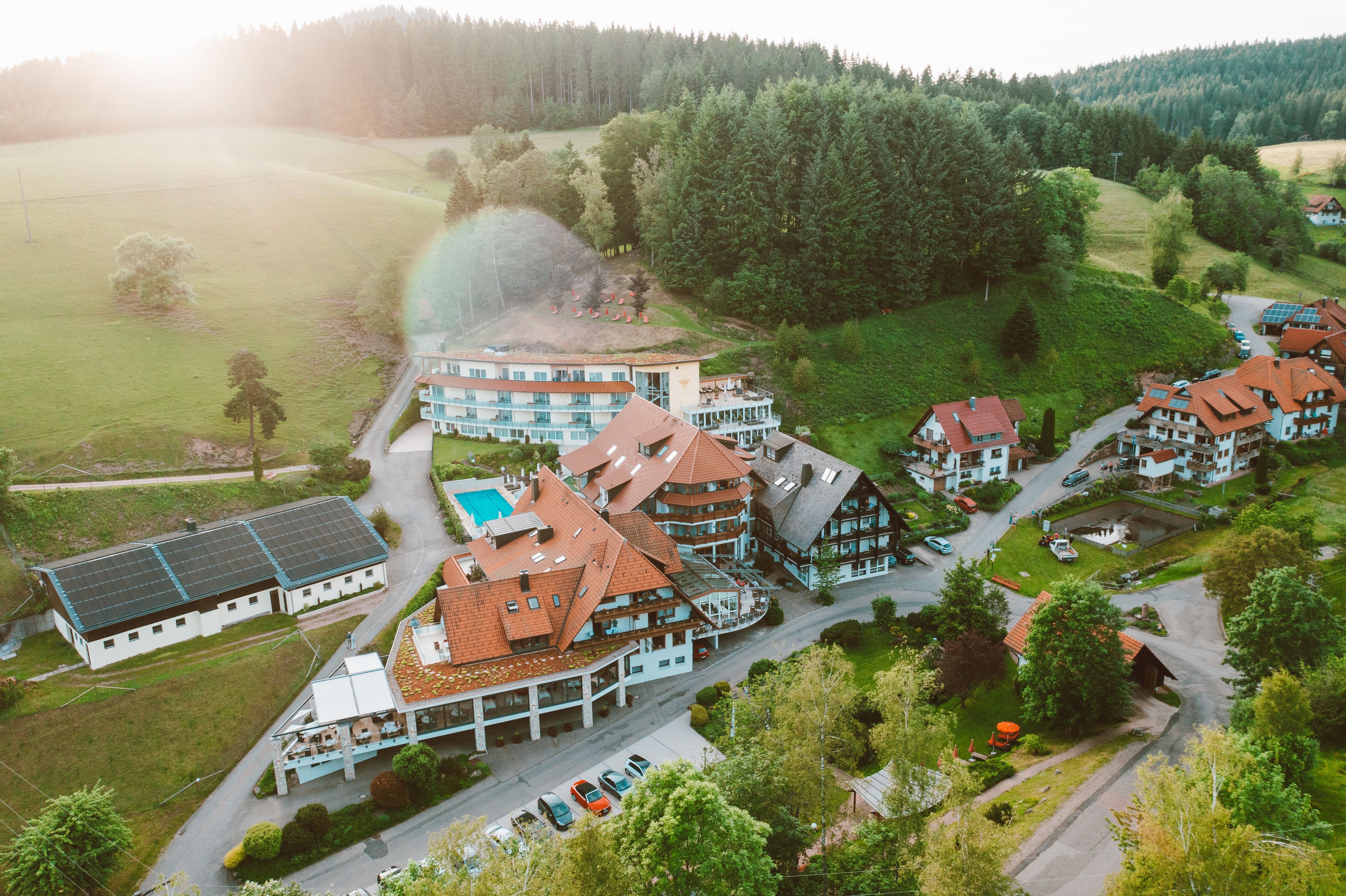 Hauptbilder