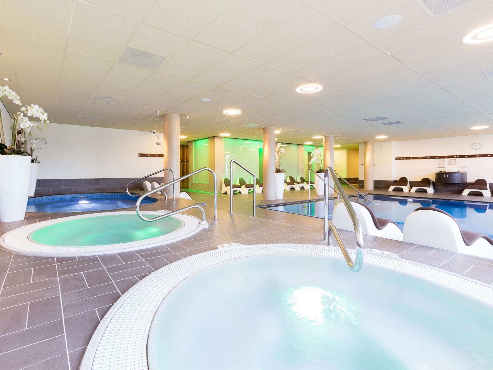 Wellness